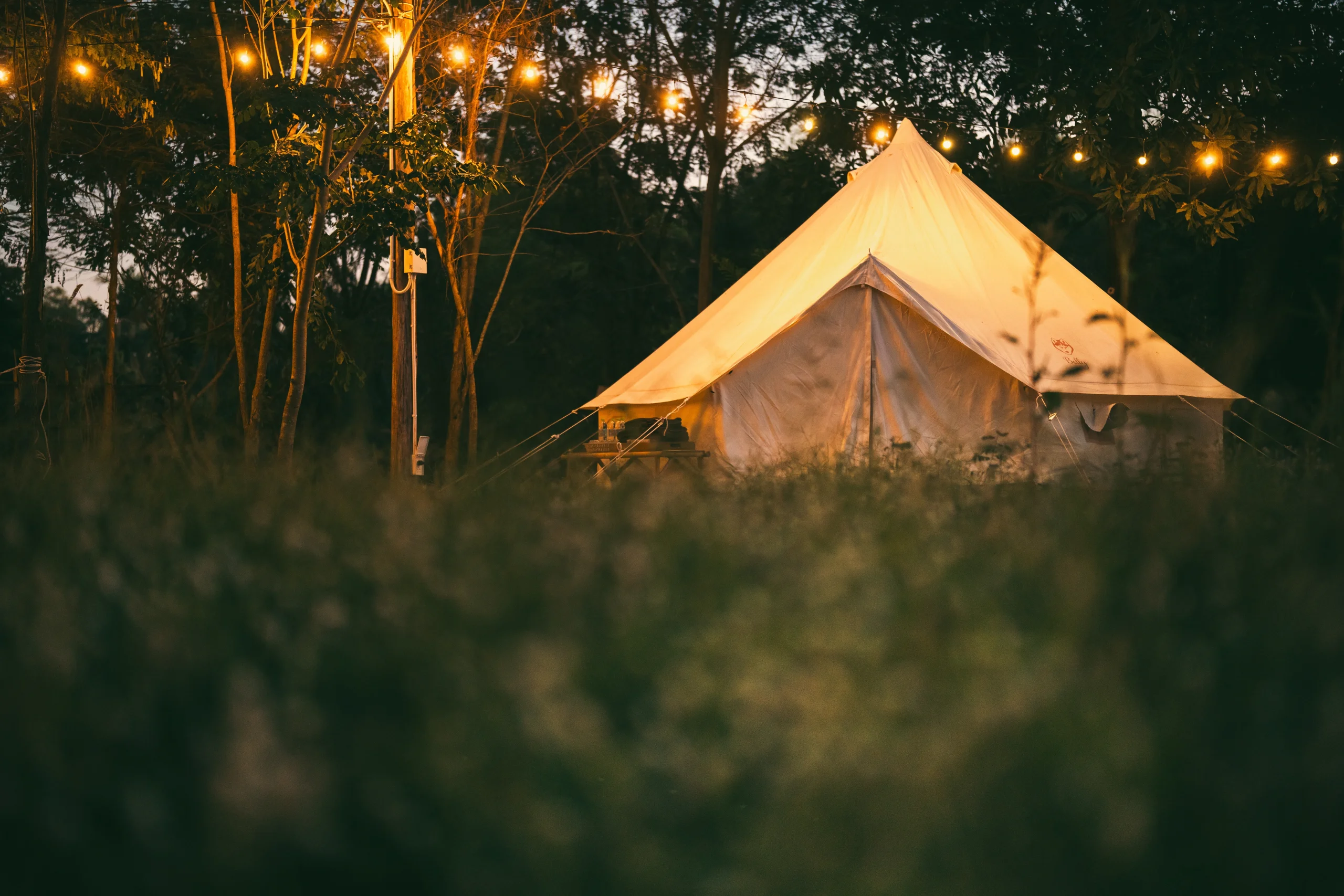 shutterstock_2407490201